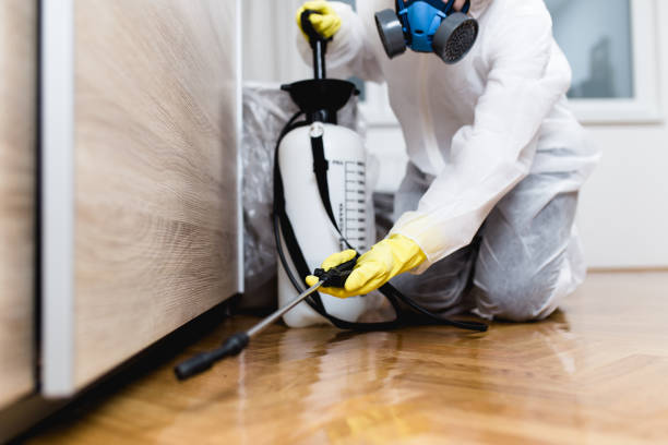 Best Emergency Pest Control  in Solomons, MD