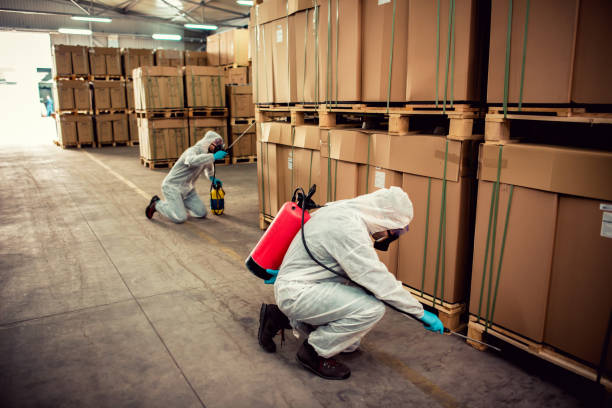 Best Residential Pest Control  in Solomons, MD