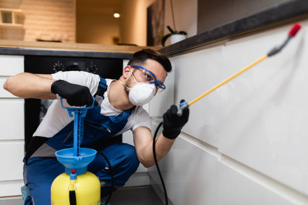 Best Best Pest Control Companies  in Solomons, MD