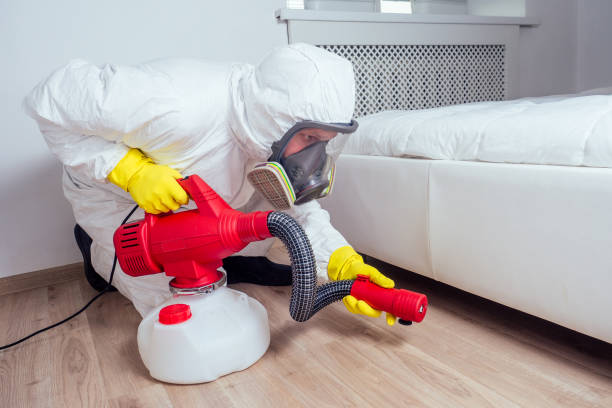 Best Pest Removal Services  in Solomons, MD