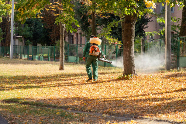 Best Flea Control Services  in Solomons, MD