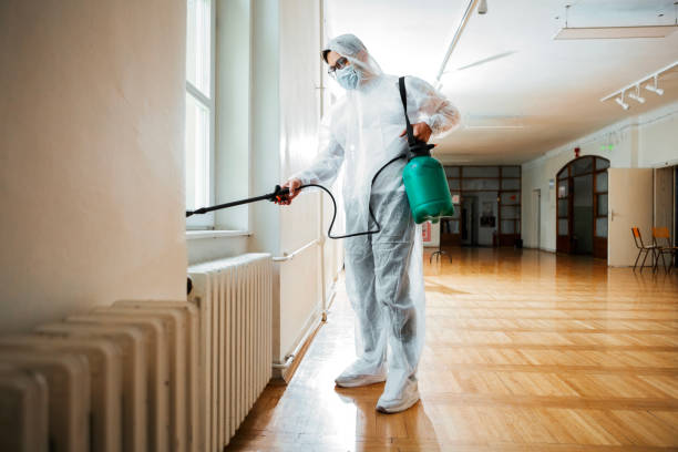Best Commercial Pest Control Services  in Solomons, MD